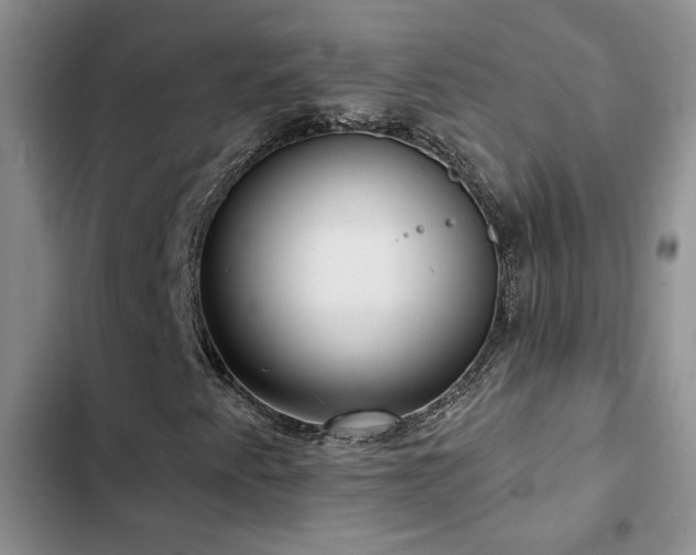X0000102831345200808181314