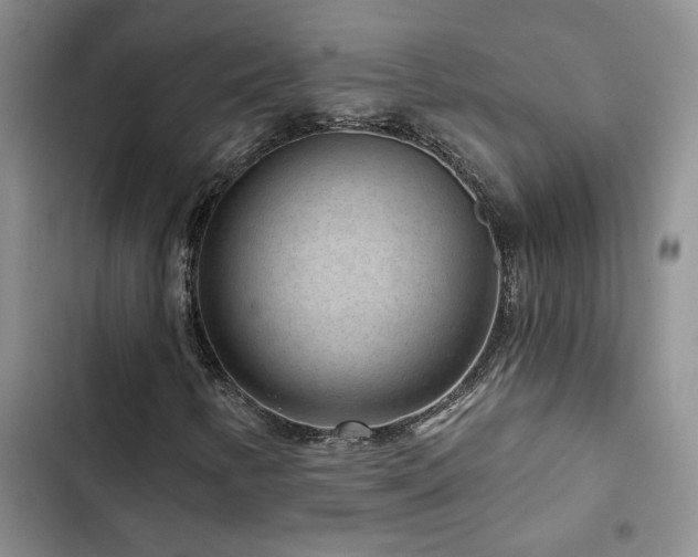 X0000102831346200808181314
