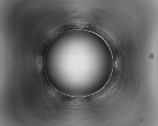 X0000102831347200808181314