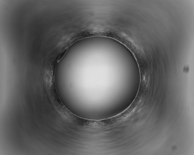 X0000102831348200808181314