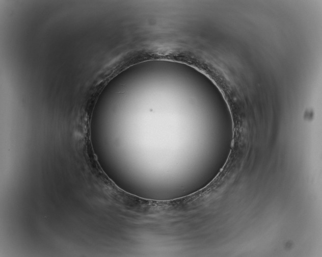 X0000102831349200808181314