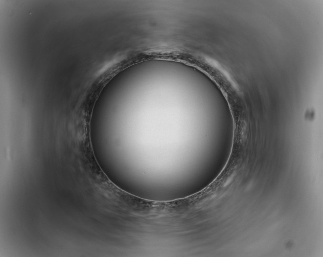 X0000102831350200808181314