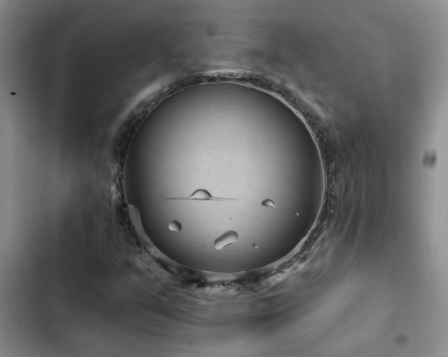 X0000102831351200808181314