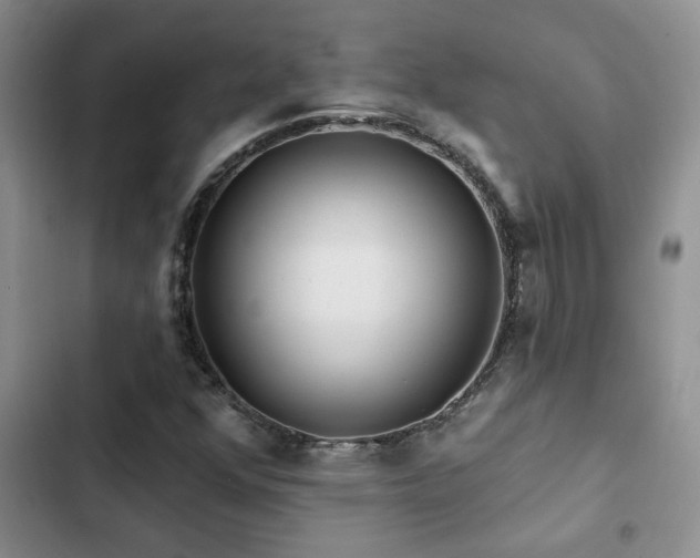 X0000102831352200808181314