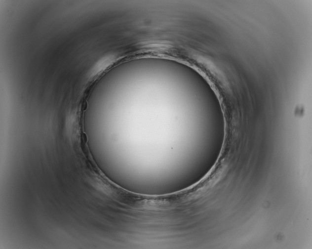 X0000102831354200808181314