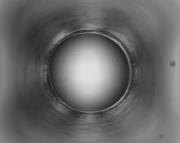 X0000102831355200808181314