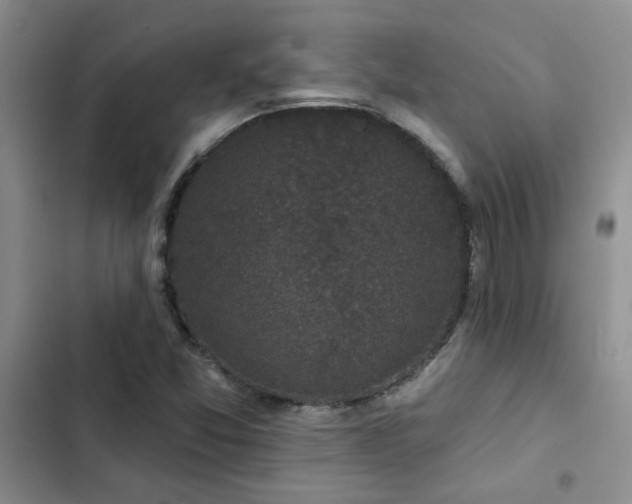 X0000102831357200808181314