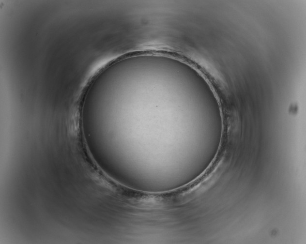 X0000102831358200808181314