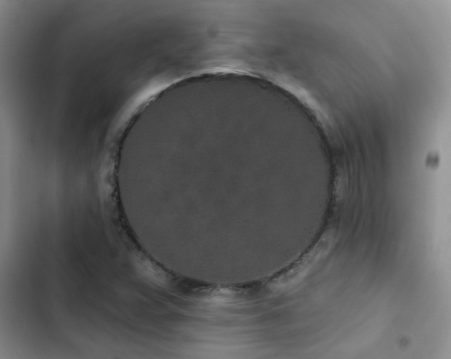 X0000102831359200808181314