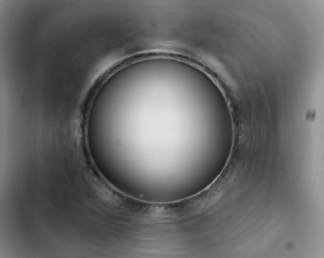 X0000102831360200808181314