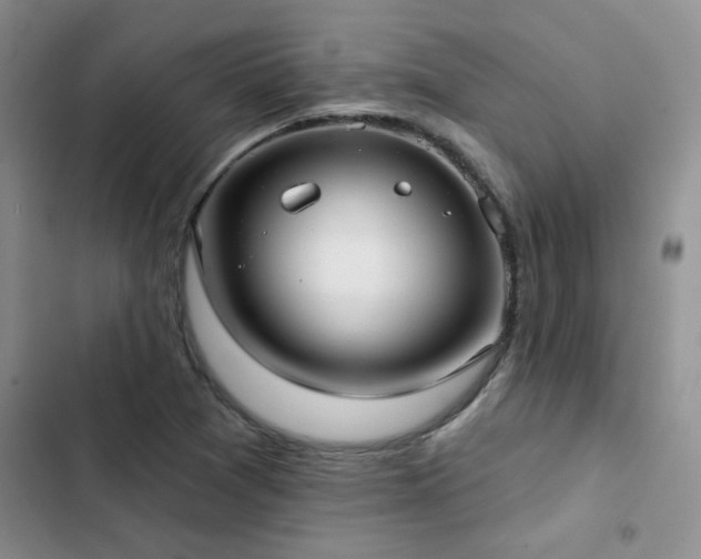 X0000102831361200808181314