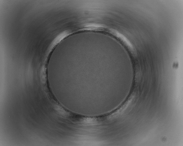 X0000102831362200808181314