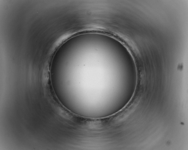 X0000102831363200808181314