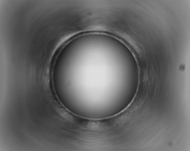 X0000102831364200808181314