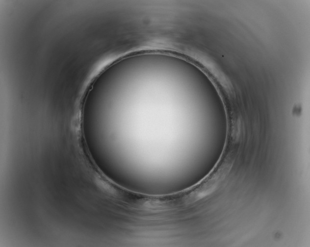 X0000102831366200808181314