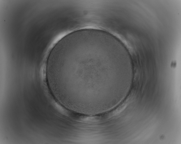 X0000102831367200808181314