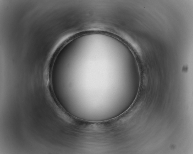 X0000102831368200808181314