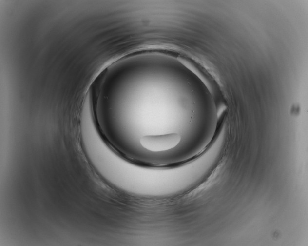 X0000102831369200808181314