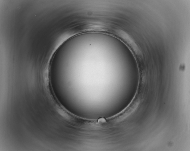 X0000102831370200808181314