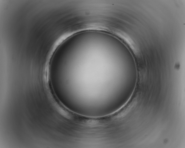 X0000102831371200808181314