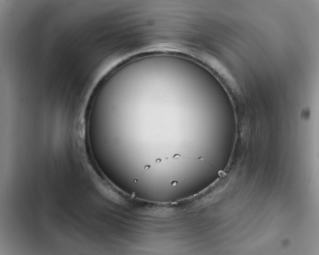 X0000102831372200808181314