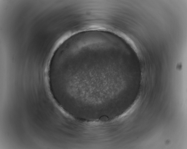 X0000102831373200808181314