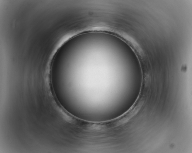 X0000102831374200808181314