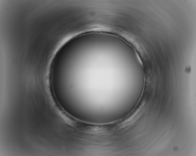 X0000102831375200808181314