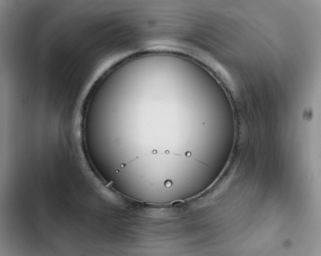 X0000102831376200808181314