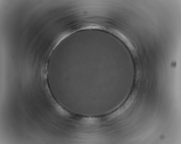 X0000102831377200808181314