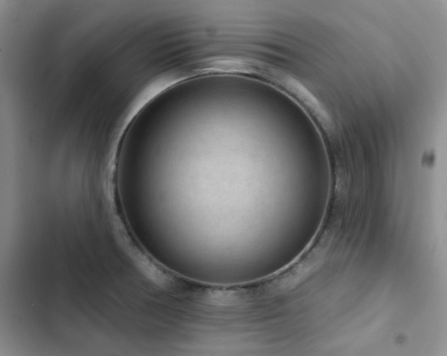 X0000102831378200808181314