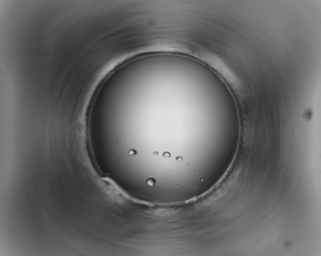 X0000102831380200808181314