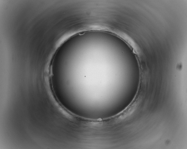 X0000102831381200808181314