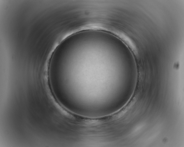 X0000102831382200808181314