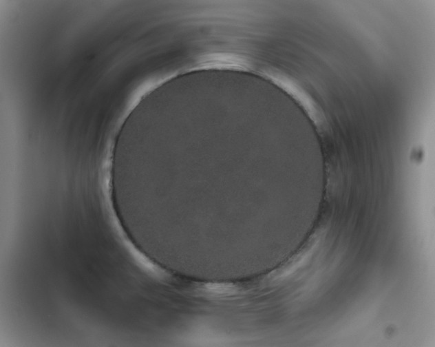 X0000102831383200808181314