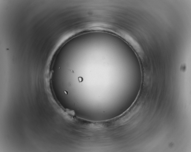 X0000102831384200808181314