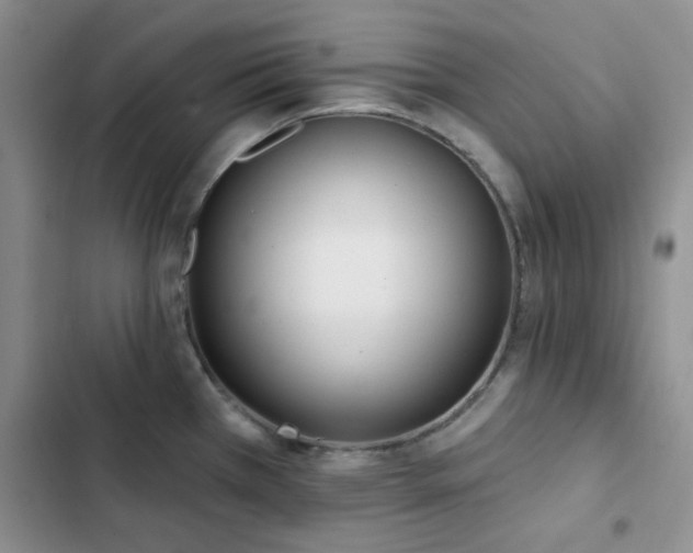 X0000102831385200808181314