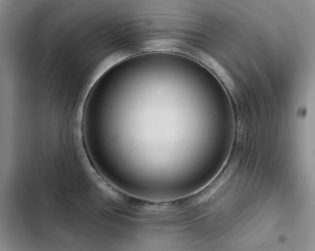 X0000102831386200808181314