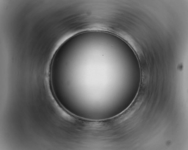 X0000102831387200808181313