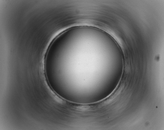 X0000102831388200808181313