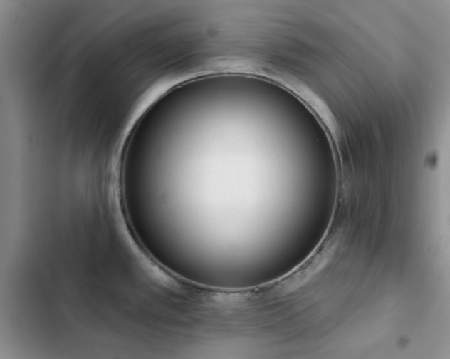 X0000102831389200808181313