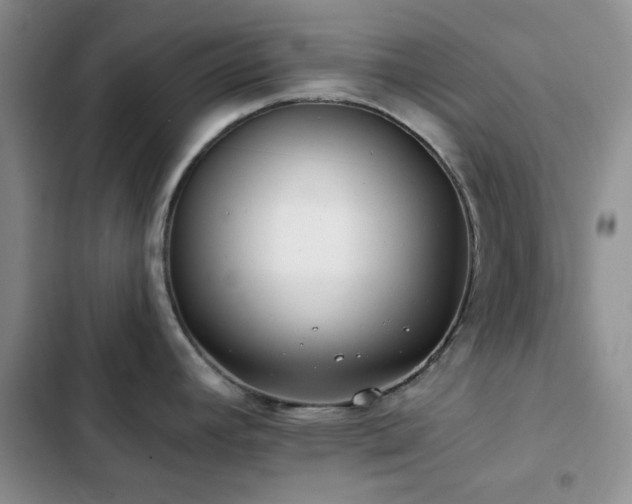 X0000102831392200808181313