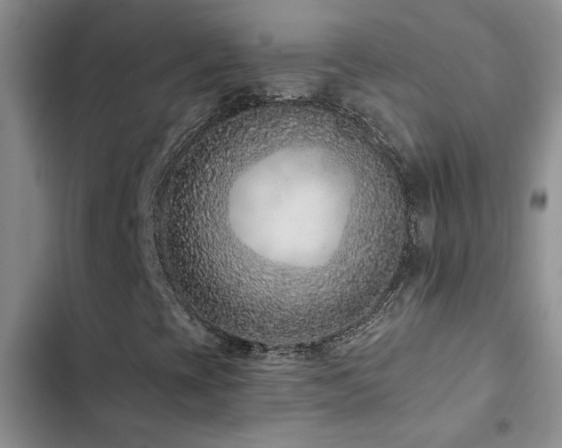 X0000102831393200808181313