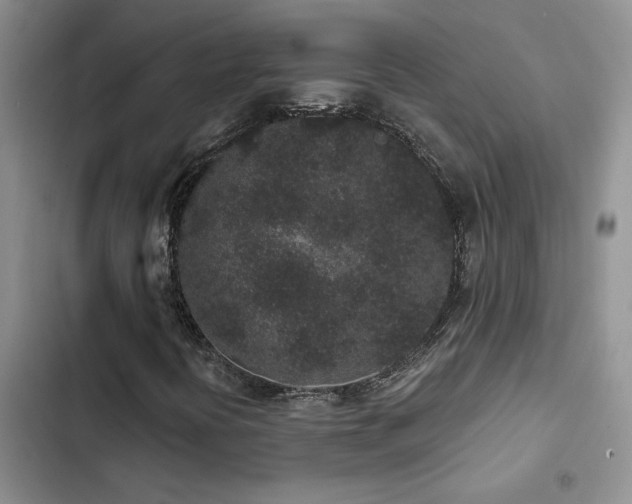 X0000102831394200808181313
