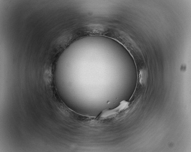 X0000102831395200808181313