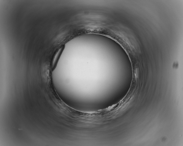 X0000102831396200808181313