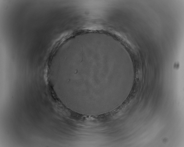 X0000102831398200808181313