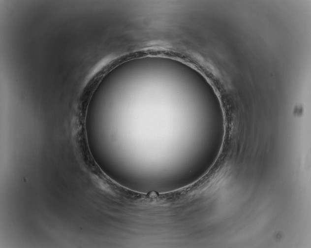 X0000102831400200808181313