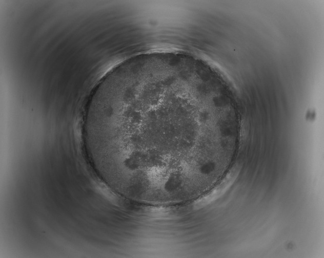 X0000102831401200808181313