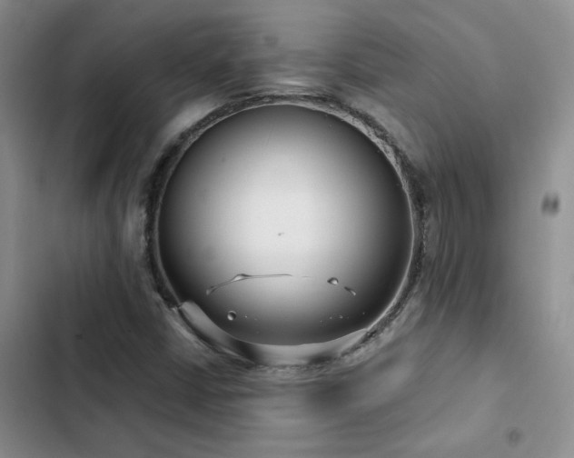X0000102831402200808181313
